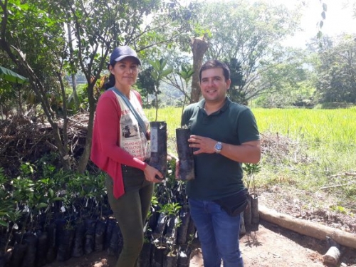 PROYECTO DE CÍTRICOS Y SEGURIDAD ALIMENTARIA